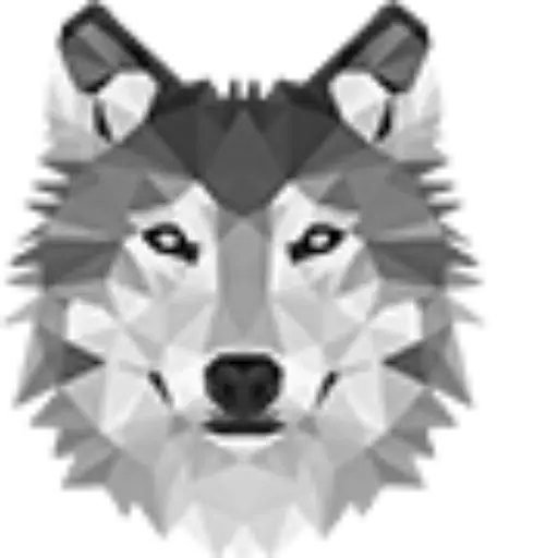 wethenorth darknet wethenorth market - о компании